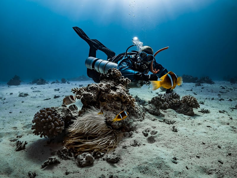 Scuba Diving Tours